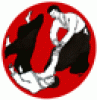 Logo Aikidoclub